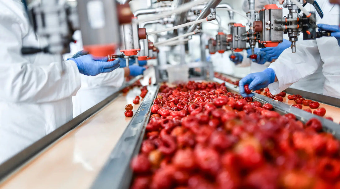 Préhension-de-produits-de-formes-et-tailles-variables-dans-l-agro-alimentaire Eclore
